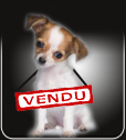 a vendre